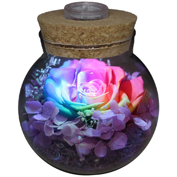 Roses with Colorful Mood Light Wishing Bottle